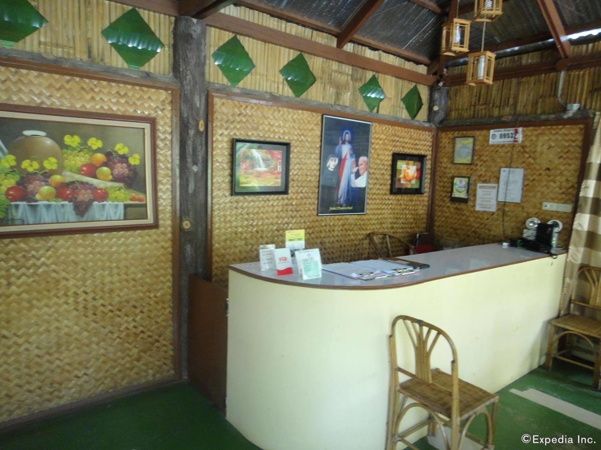 Balai Felicisima Bed & Breakfast Puerto Princesa Luaran gambar