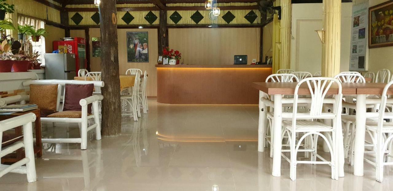 Balai Felicisima Bed & Breakfast Puerto Princesa Luaran gambar