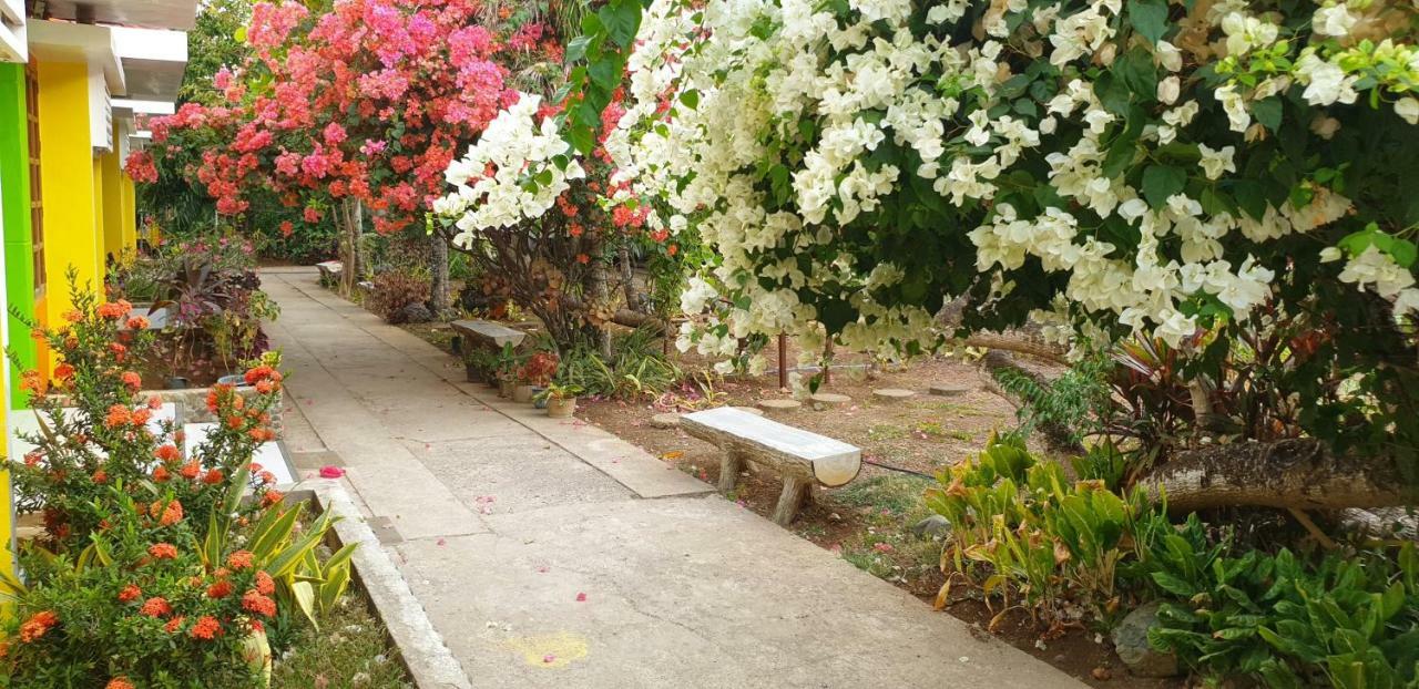 Balai Felicisima Bed & Breakfast Puerto Princesa Luaran gambar